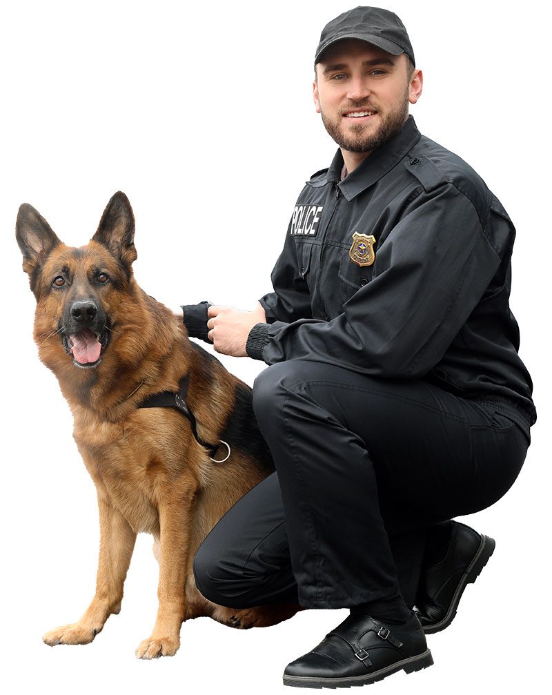 Dog And Handler